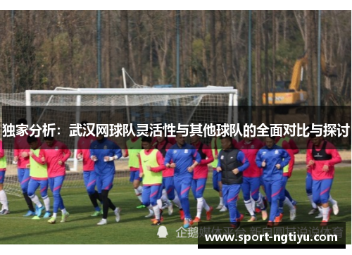 独家分析：武汉网球队灵活性与其他球队的全面对比与探讨